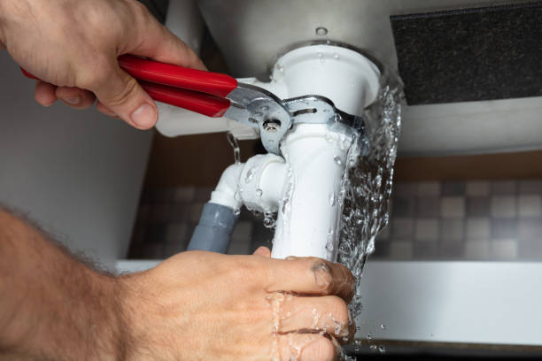Best Professional water damage repair  in Whitney, NV