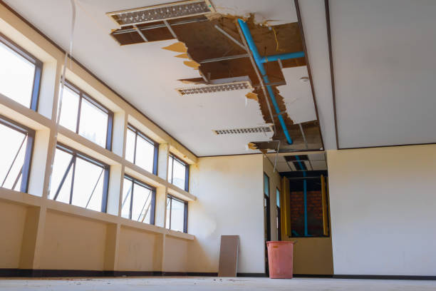 Best Residential water damage restoration  in Whitney, NV