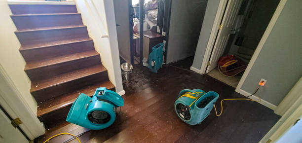 Best Water damage restoration near me  in Whitney, NV
