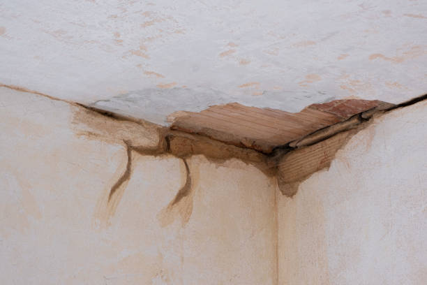 Best Fire Damage Restoration  in Whitney, NV
