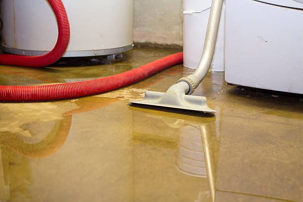 Best 24/7 water damage repair  in Whitney, NV