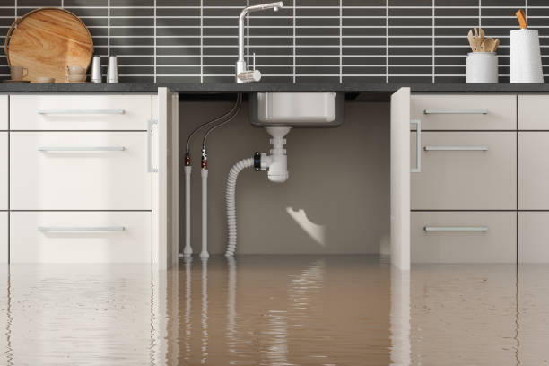 Best 24/7 water damage repair  in Whitney, NV
