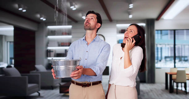 Best Water damage restoration near me  in Whitney, NV